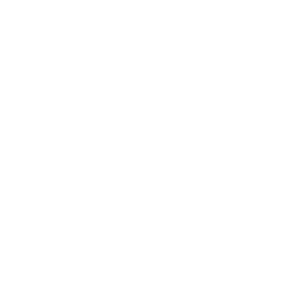 GlobalCom China Gateway emblem
